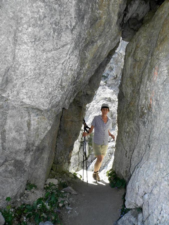 Ferienwohnungen Salvenmoser Johanna Scheffau am Wilden Kaiser Eksteriør bilde